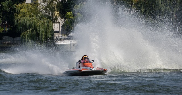 这一结果的 这一结果的