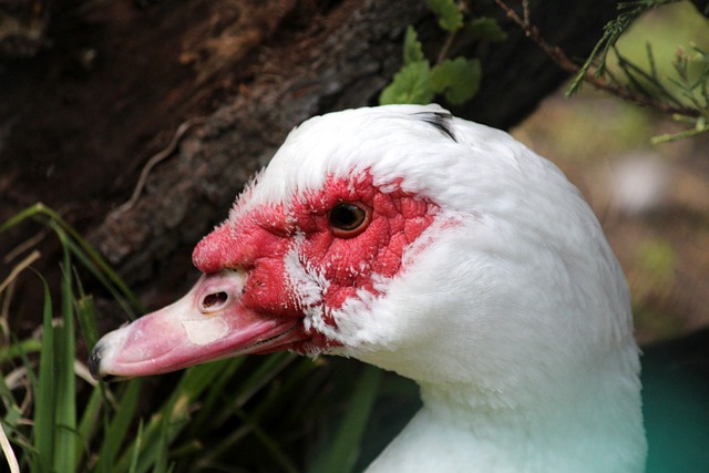 这一年的征 这一年的征
