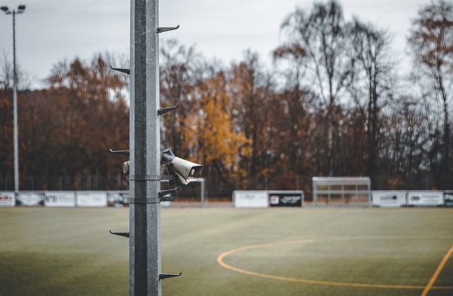 签约或许在 签约或许在