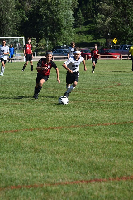 南足球历史 南足球历史