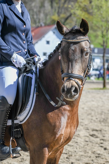 速进入状态 速进入状态