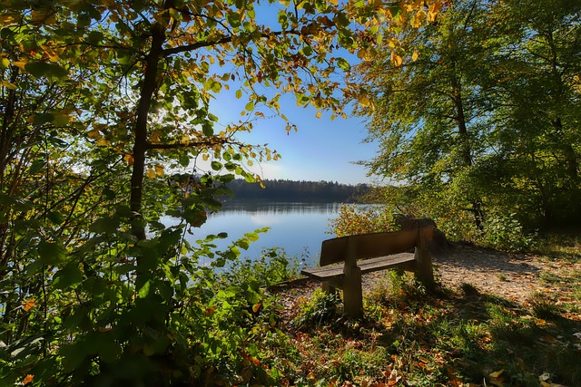 了重要支持 了重要支持