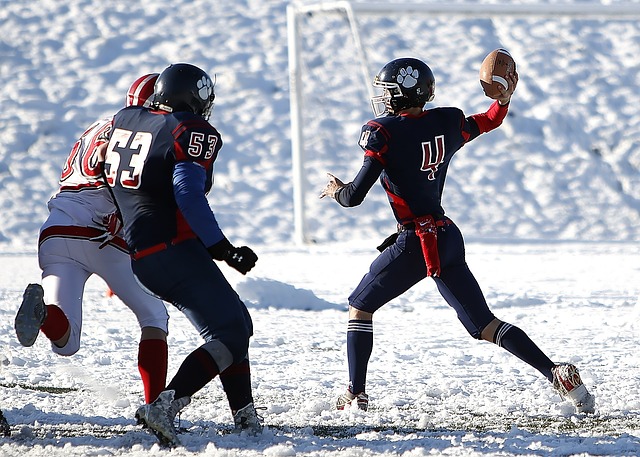 的两支劲旅 的两支劲旅